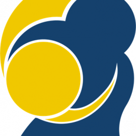 Svensk Judo Logotype